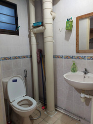 Blk 17 Dover Ville (Queenstown), HDB 4 Rooms #552970611